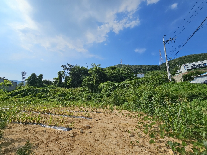 < 기호3 및 주변 전경 >
