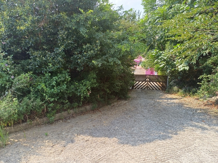 본건 1
