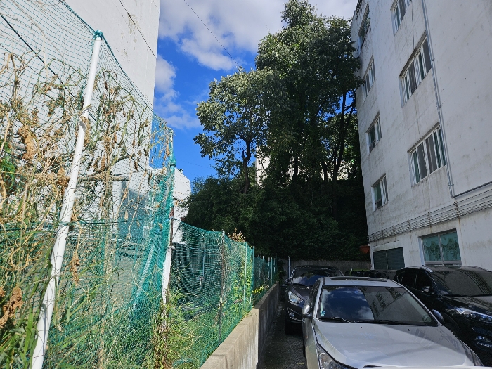 본건 전경