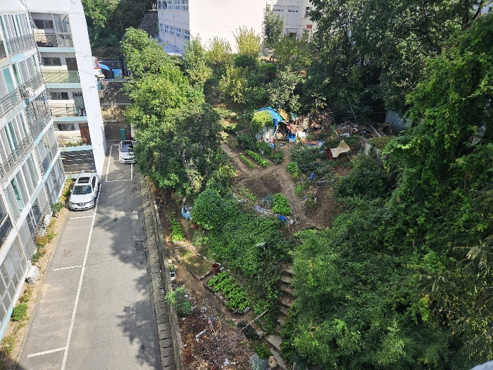 본건 전경