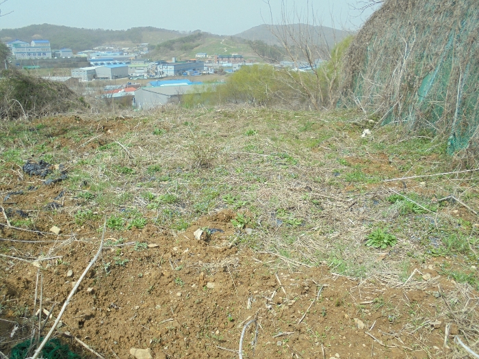 기호(1) 전경 일부