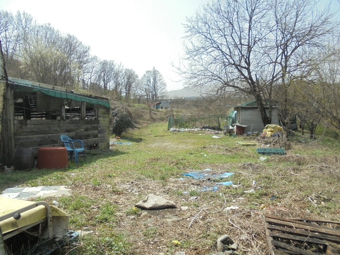 기호(1) 전경 일부