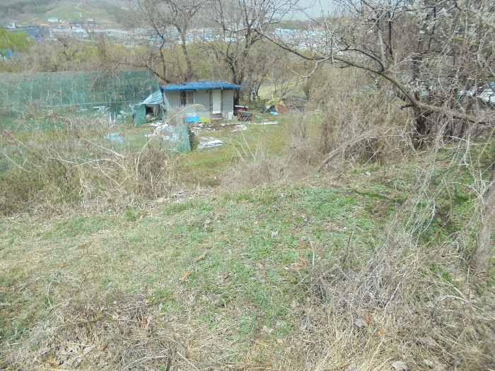 기호(1) 전경 일부