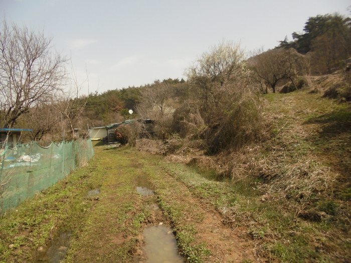 기호(1) 전경 일부