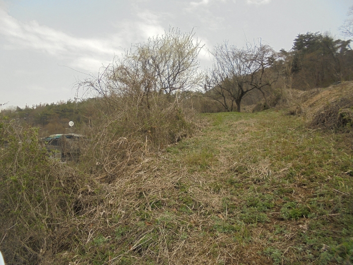 기호(1) 전경 일부