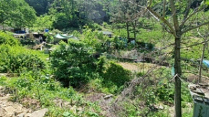 기호 3번 토지상의 텃밭 모습.