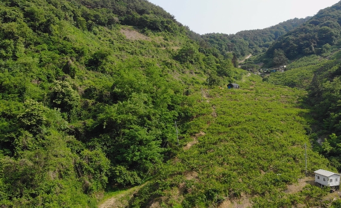본건 전경 및 주위환경
