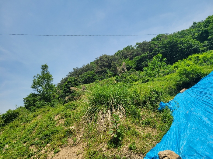 본건 기호(1)