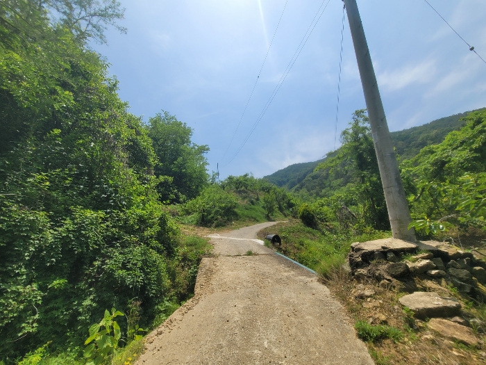 본건 기호(2)