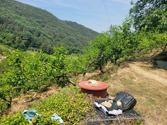 본건 기호(4)