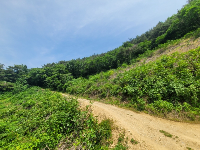 본건 기호(1)