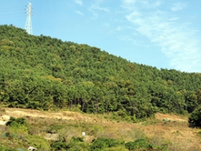 기호2 및 주변전경