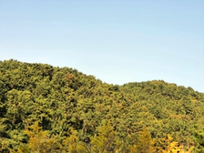 기호1 및 주변전경