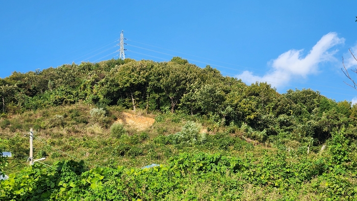 일련번호(2) 전경