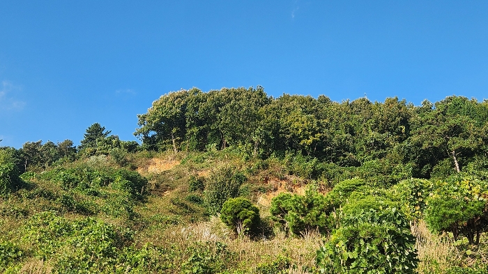 일련번호(2) 전경