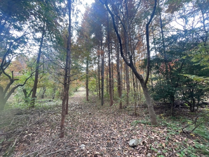 일련번호(1, 2) 전경