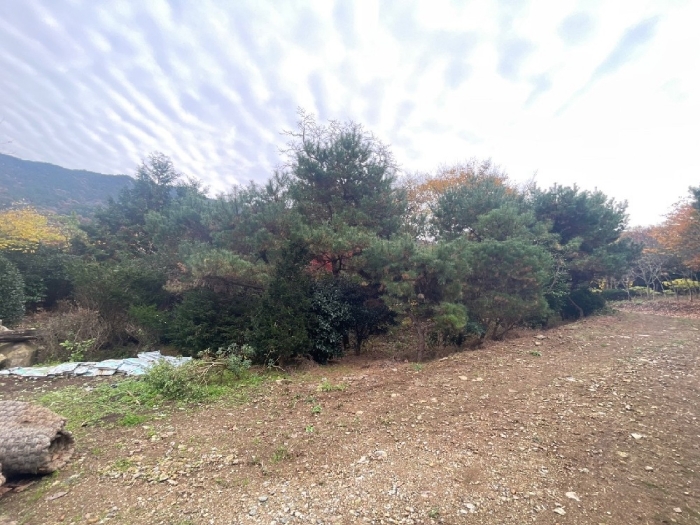 일련번호(7) 전경
