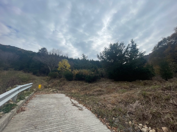 일련번호(9) 전경