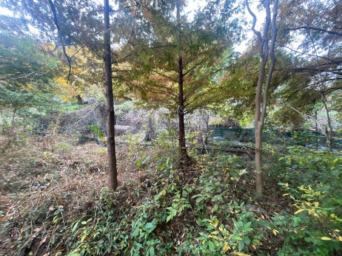 일련번호(3) 전경