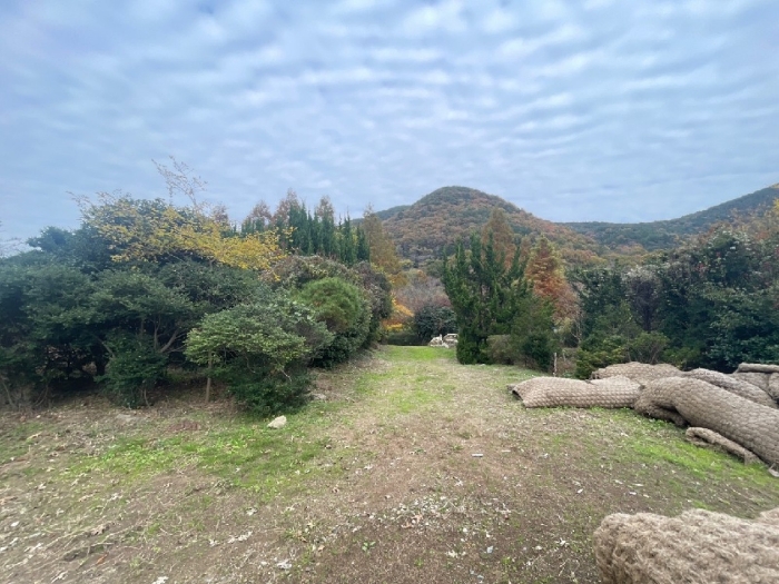 일련번호(6) 전경
