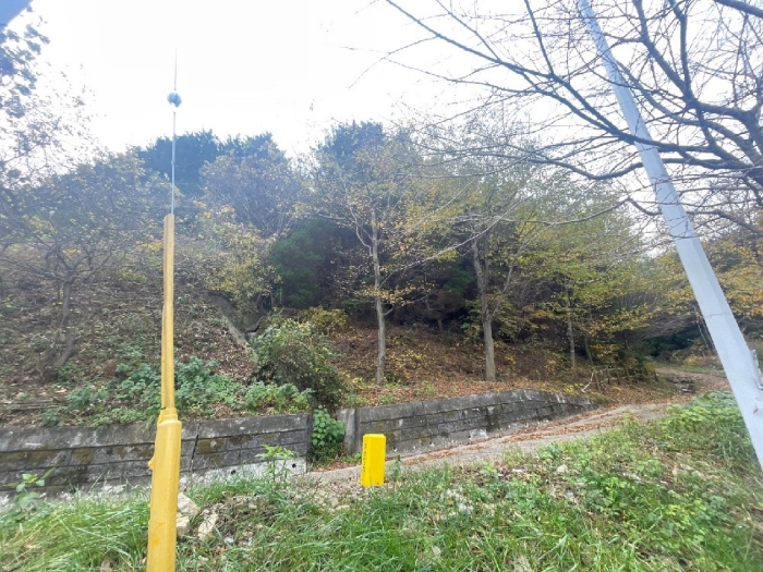 일련번호(8) 전경