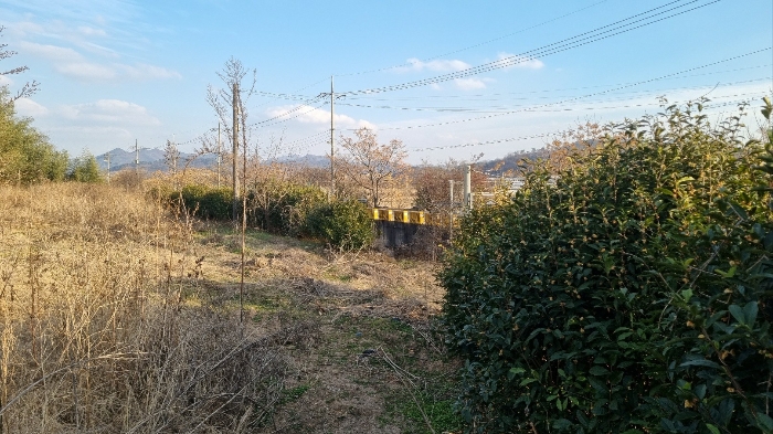 기호(2)