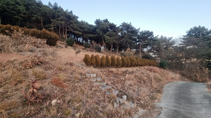 기호(3)