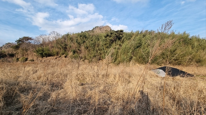 기호(1)
