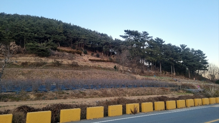 기호(3,4) 전경