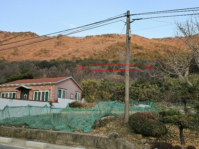 < 본건 주위환경 >
