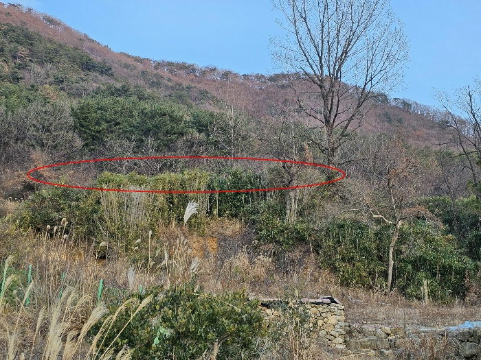 < 본건 전경 >