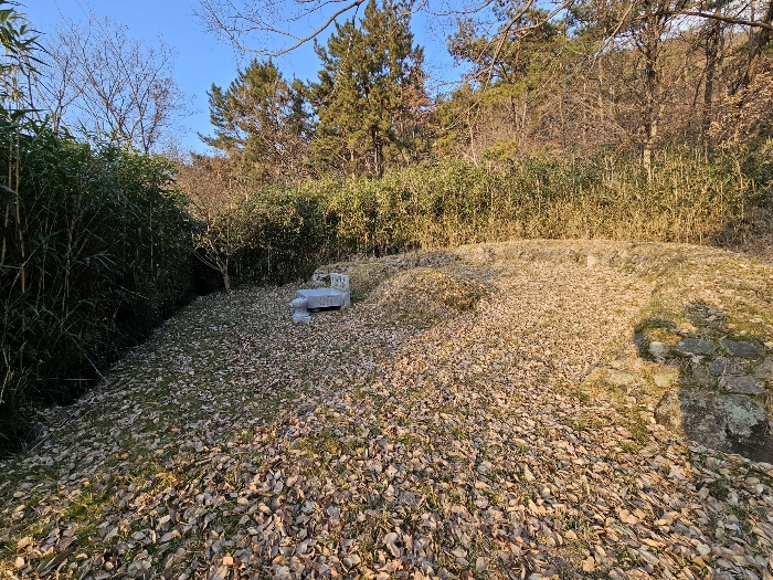 < 본건 전경 >
