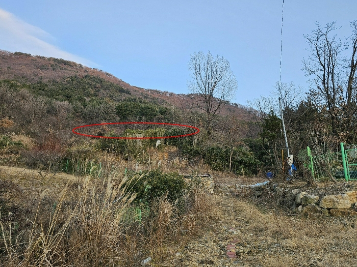 < 본건 및 주위환경 >