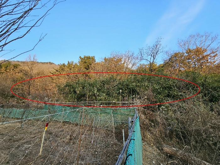 < 본건 전경 >