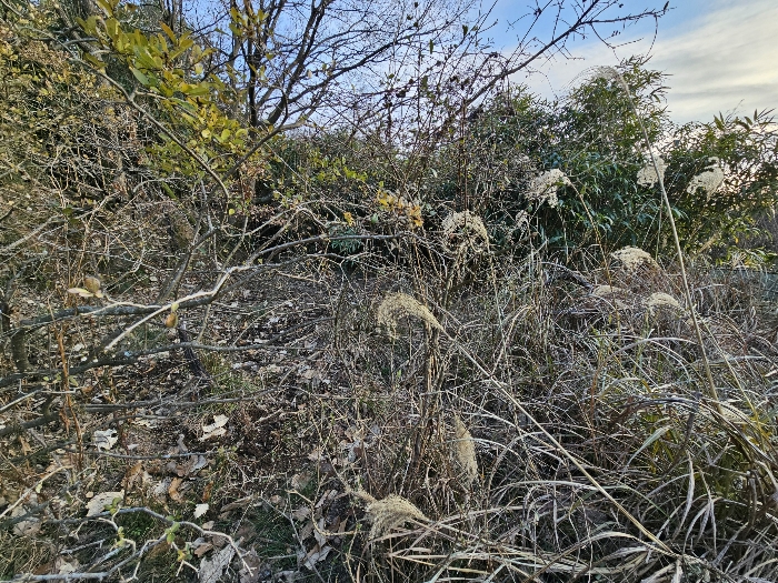 < 본건 전경 >