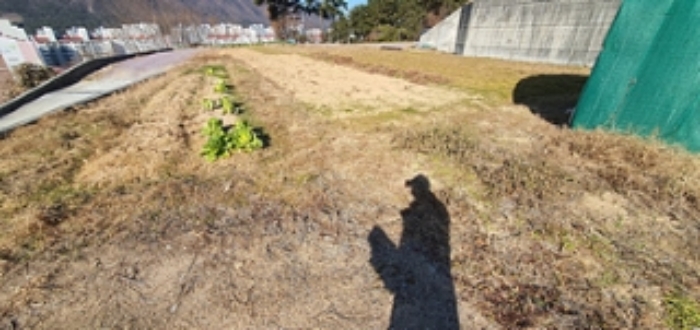 기호 3 전경