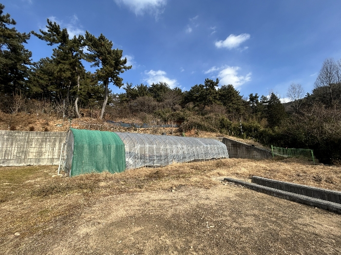 기호 1 - 3) 지상위 비닐하우스