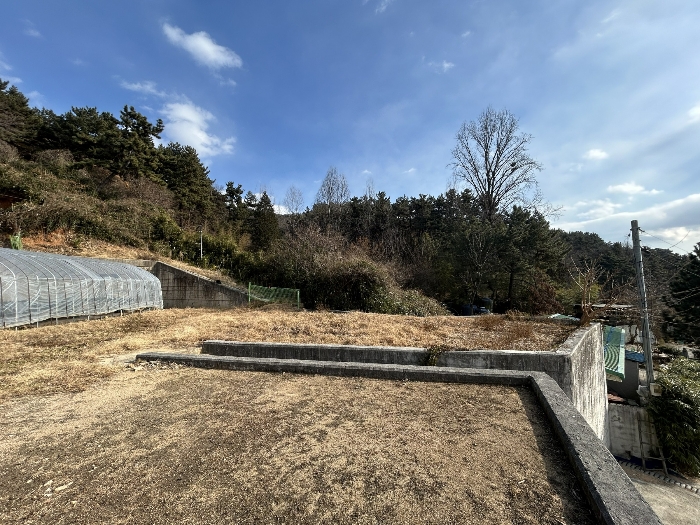 기호 1), 3) 전경