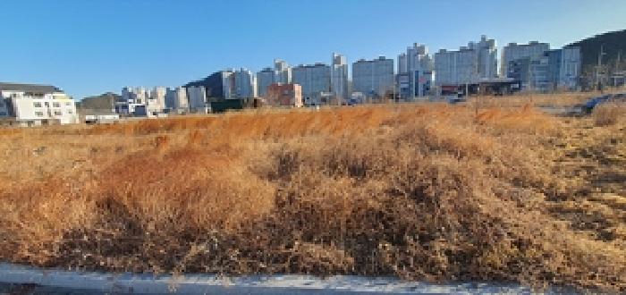 기호 2 토지 및 주변전경