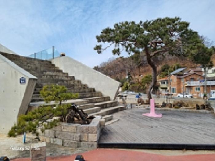 목록1. 입구 소나무들