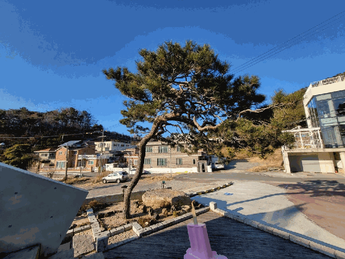 제시외수목 외 ㄷ