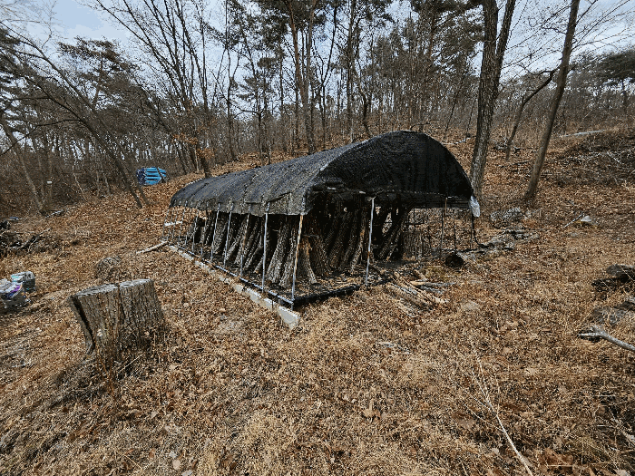 버섯재배사