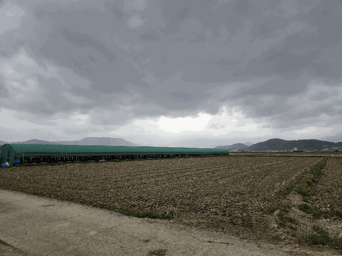 본건 전경