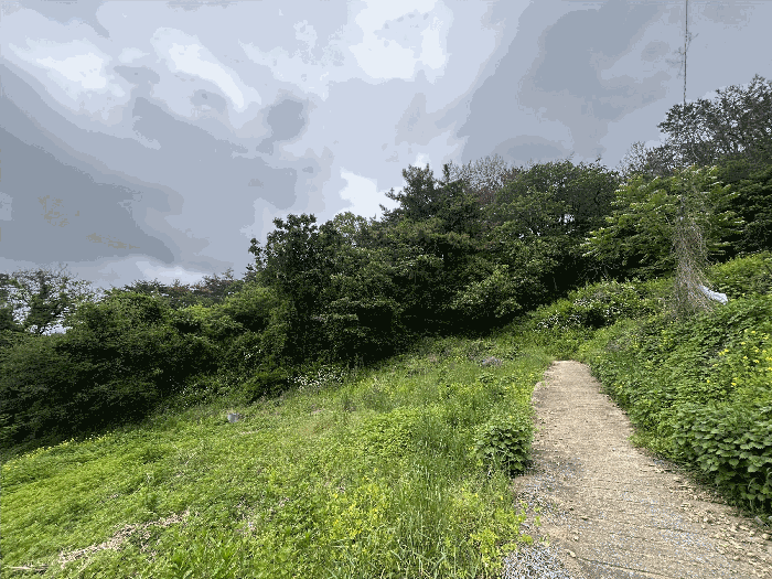 기호 1) 전경
