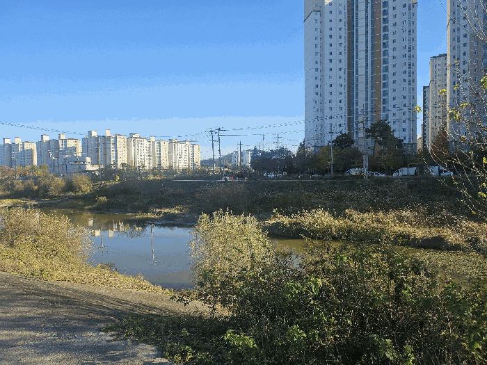본 건 전 경