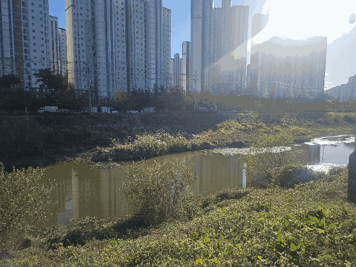 본 건 전 경