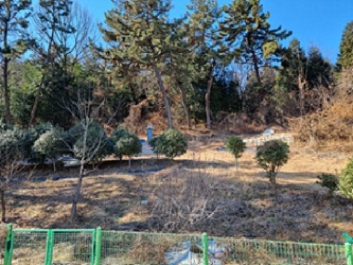 팔용근린공원에서 바라본 본건 부동산