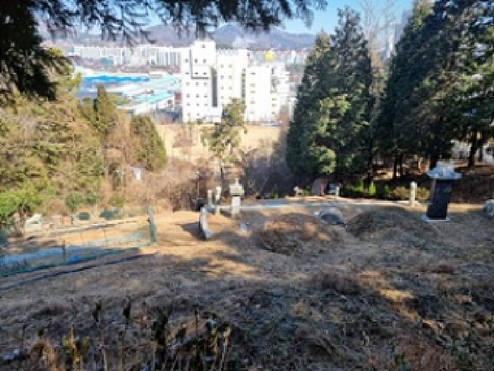 본건 부동산 가운데에 조성된 분묘들