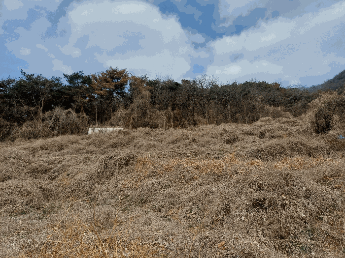 본건