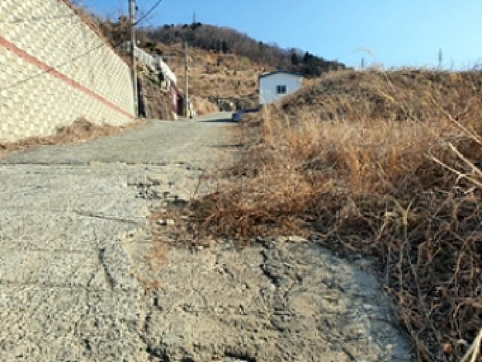 기호4 및 주변전경